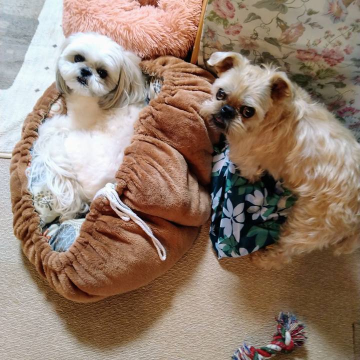 50d2d525 aba8 4958 bdf8 34d03cad9c7b 1652244989716