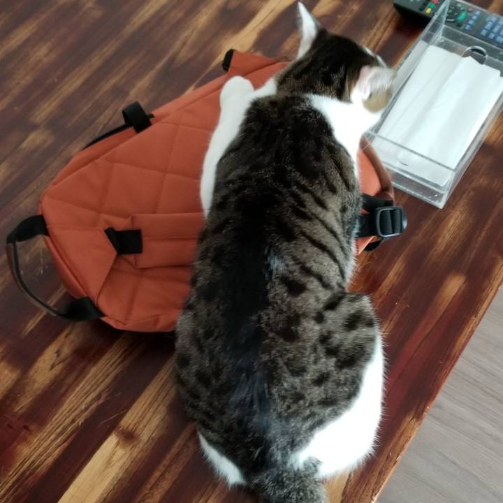 50d2ea32 74c3 4059 b92f 13a3b918d623 1556758364415