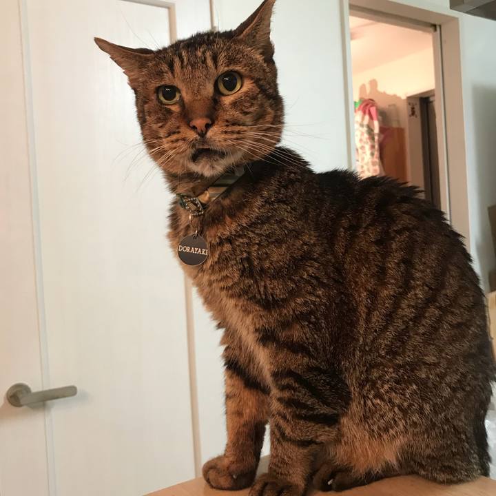 50d3193b 0b6b 4fd6 9ec1 dbc905ce4121 1537443890839