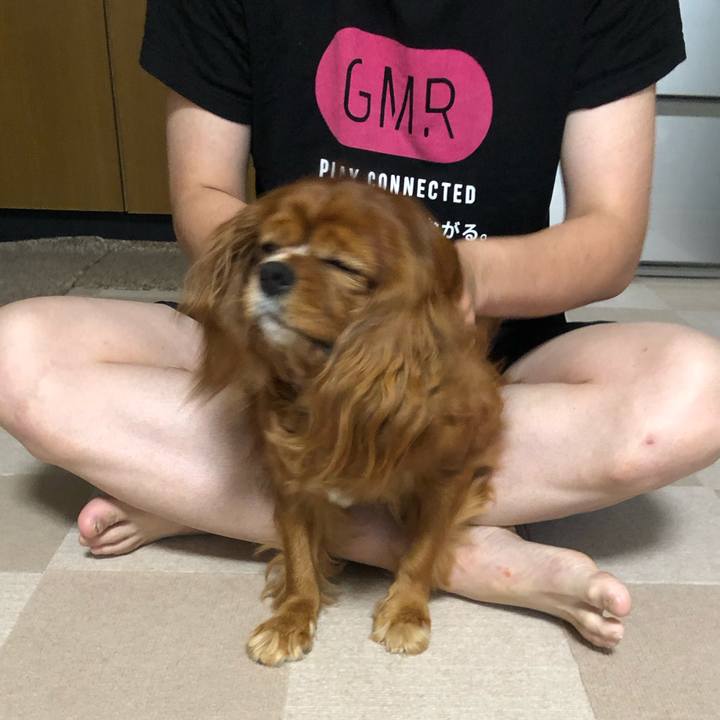 50d3526d e3ed 4745 b30d 56ffbf1158ef 1632089589094