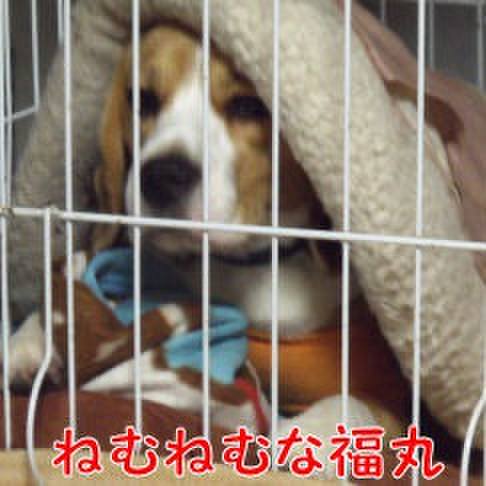 50d35be0 3ff8 4cc8 bbdf dfa7eddb0fa2 1715385259045