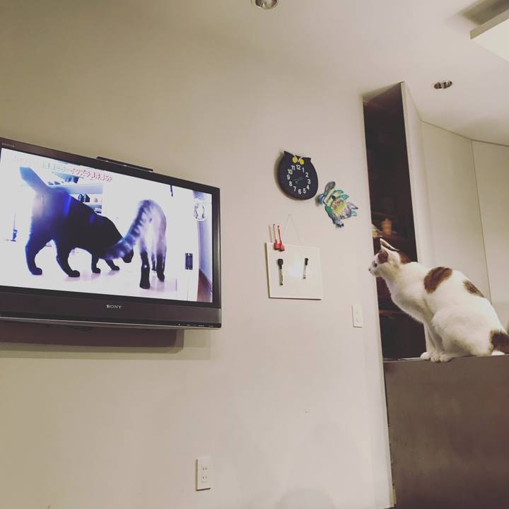 50d36069 164b 49ad 9fa1 275db7d5b825 1508497679110