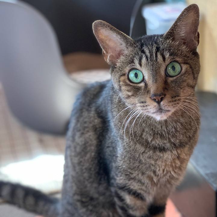 50d3bc7f e920 43a0 b8da 21297afc9aea 1600737607921