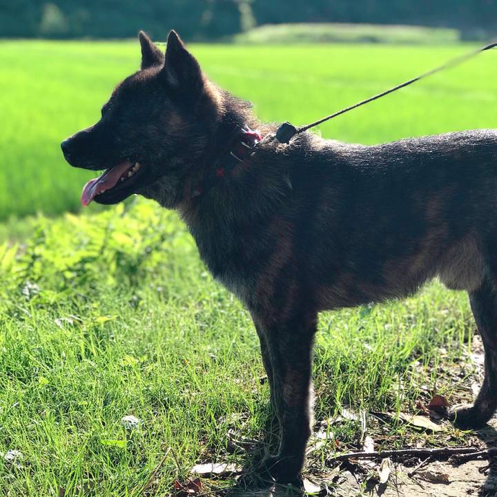 50d3e4cd 94b3 49c4 a289 25669dc9fac6 1531091647151