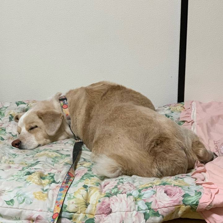 50d3ebb4 69d9 412c 95b8 dd10e2268bd6 1554738044379