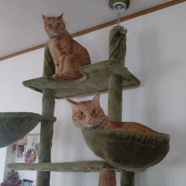 50d3fbe9 e5e3 4124 854f 96a7685f530a 1741506446111