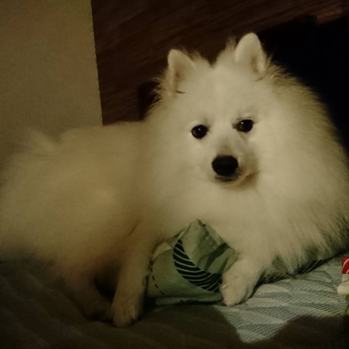 50d41ce4 4b93 455d b667 7d957d7210d1 1565891695819