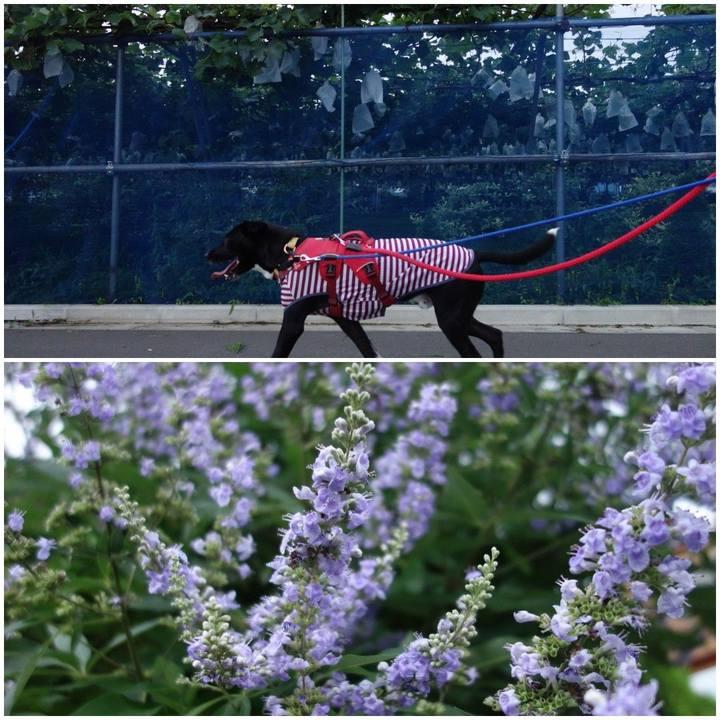 50d43041 6311 405f 84e4 d8ecf586d582 1594464298401