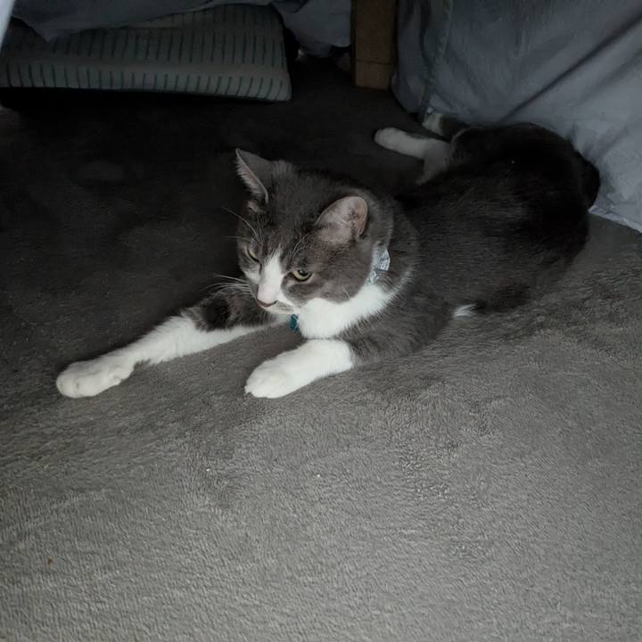 50d4464a 019b 4b94 ba0b 61f1021f164f 1767400829480