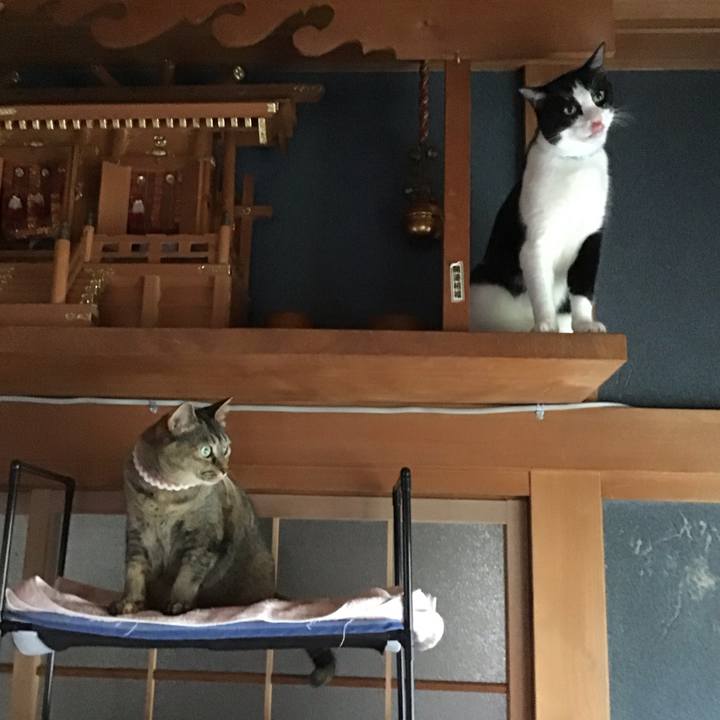 50d46c95 f165 4628 beff 22f2fb09ef41 1689765948942