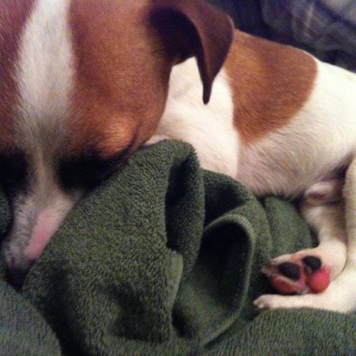 50d4b2f8 b993 45af 8e72 800464115874 1651445877394