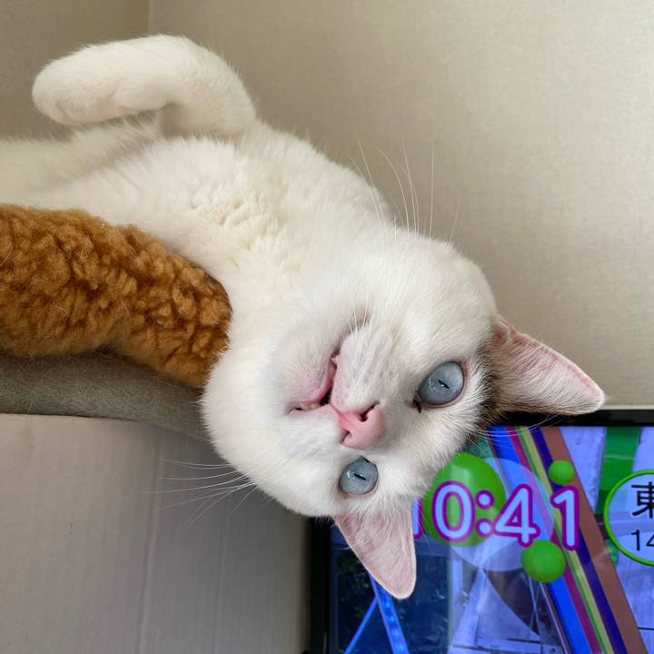 50d4fce8 816d 4d07 b0e3 c2dff334544f 1673567055610