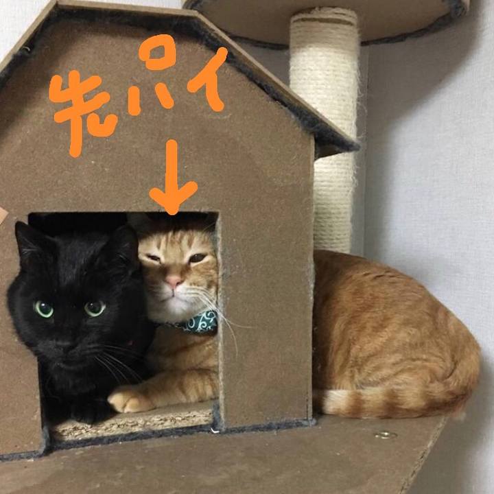 50d54f11 ee4f 4821 8dc5 198543991b23 1581399356971