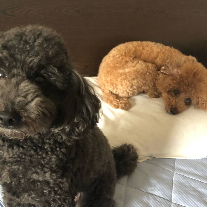 50d58a26 c59b 4fb0 a4ad 6ed7d90f39b0 1601089063581