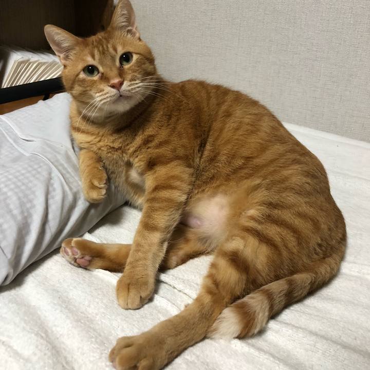 50d5ba9c c4ed 4fb9 afb2 db0b52fb5337 1612387649464