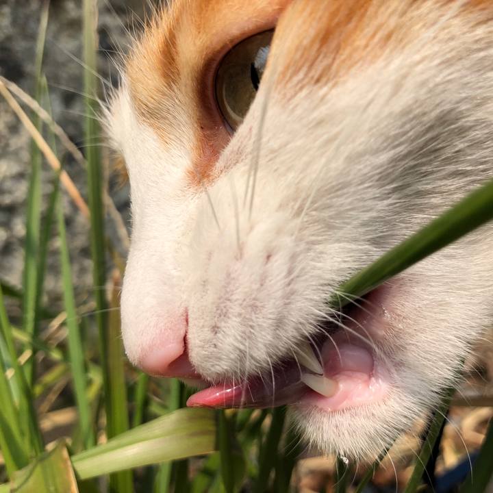 50d5eff1 3aca 40a1 bd4d 90b6fc169a1d 1551754346937