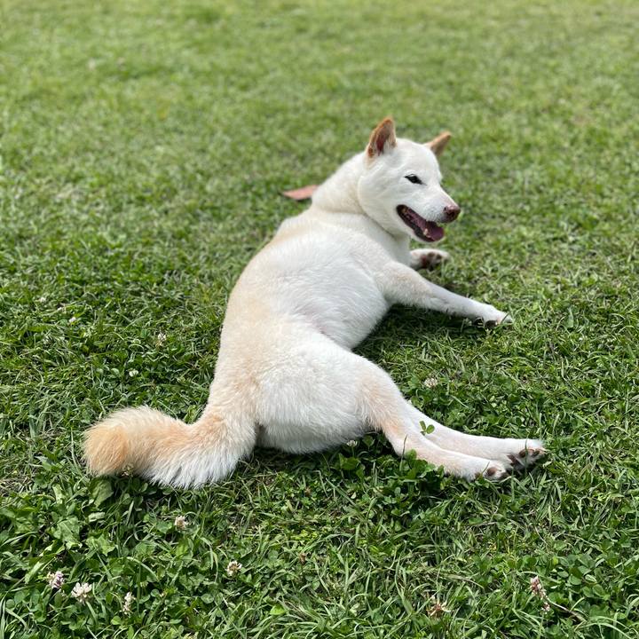 50d5fb35 f81b 480e b2a8 612efc1bbaec 1650705986162