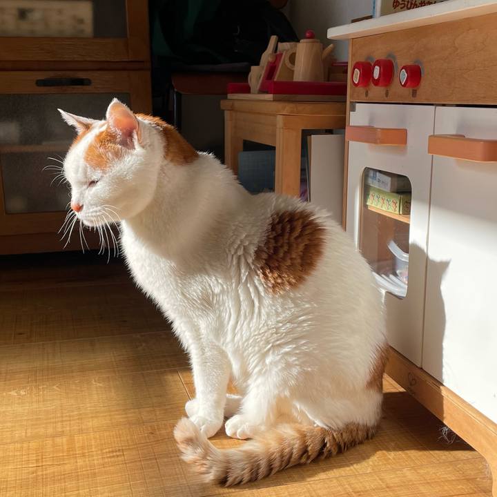 50d617e0 66e7 4272 a03e 0eb3e772d41c 1763771967435