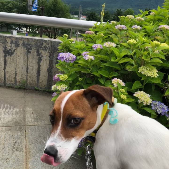 50d652de d1e9 494e b674 e0f3af4764d3 1530671345330