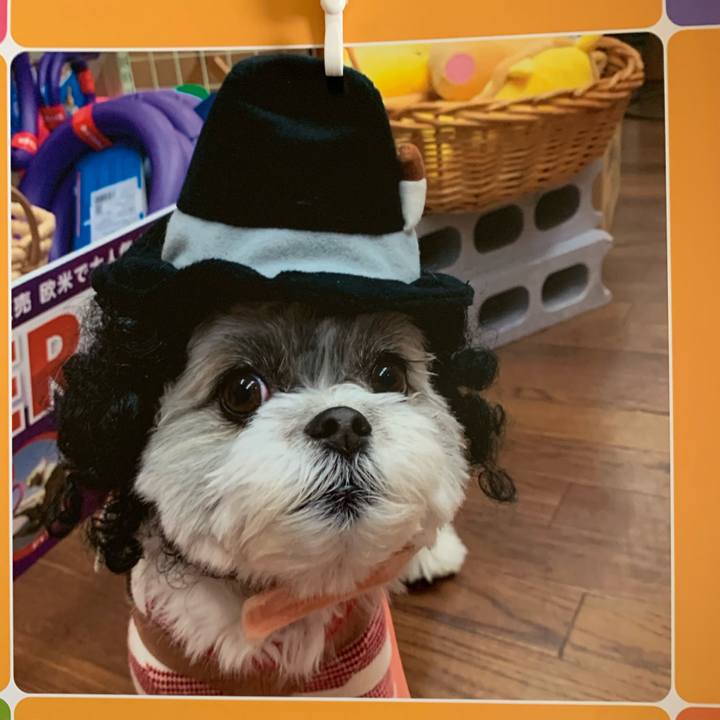 50d65751 9af6 4b1d 9cdf 821260332b62 1614470245812