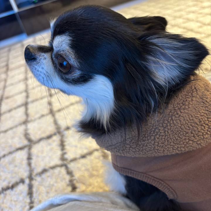 50d65cf8 c46c 4f23 a670 62526633d216 1740412732931