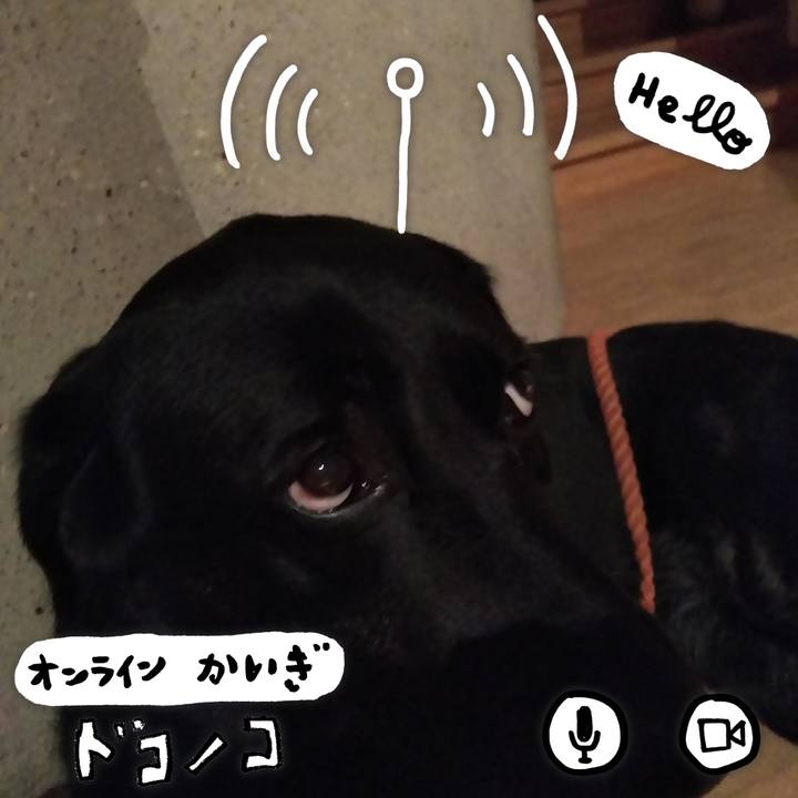 50d6a604 153b 420b 8a40 402bccda23df 1590756896767