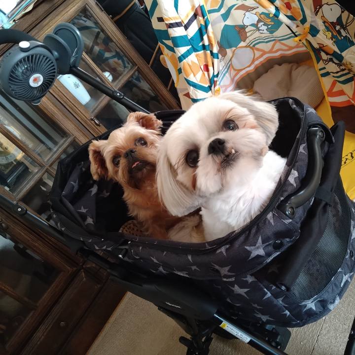 50d6aa73 0c5e 4f82 a07c 2a2a20231d56 1624691960187