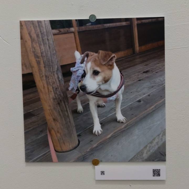 50d6e6a3 bcf2 4325 8e5d d5ce30537a4b 1765011653855