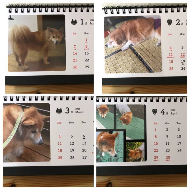 50d71737 9385 4467 83d3 57da2bedf4ef 1514105054998