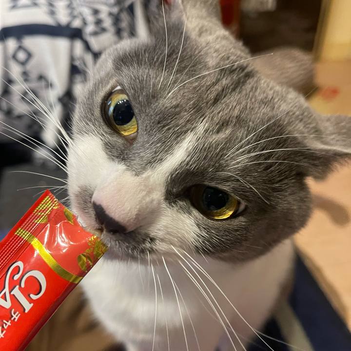 50d73118 5c61 4e0d 83f5 050fa59760d3 1673591819059