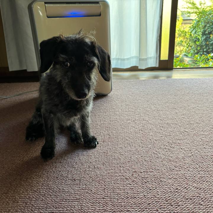 50d731ec b066 4c3d a39c a96b1e03c129 1754783006430