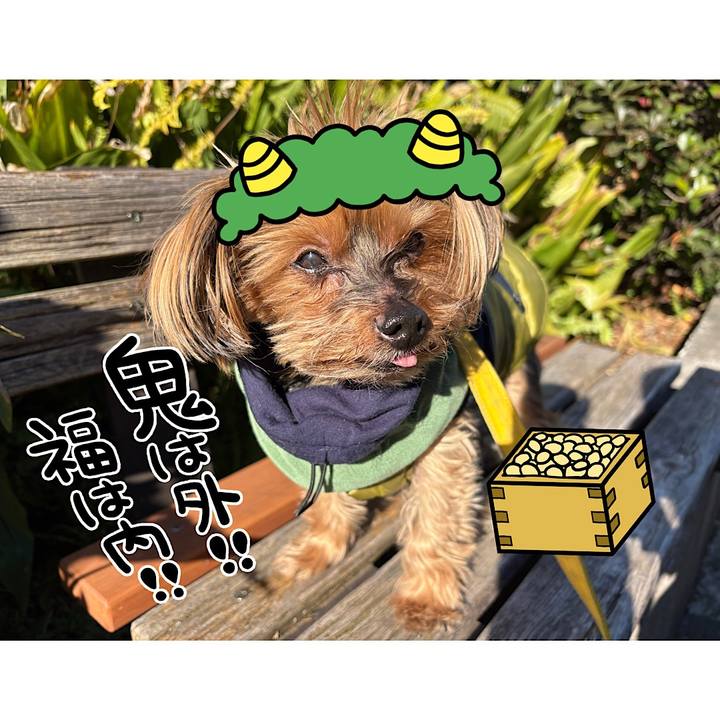 50d741c5 e063 41a0 a00f 8d4e02587601 1738465540505