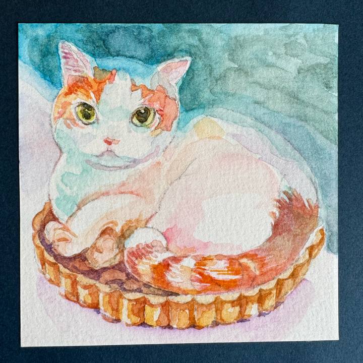 50d7ab15 3cc9 4f6a b352 9d529d271999 1771810436570