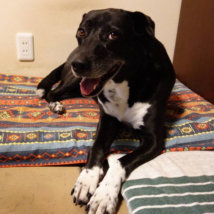 50d7bd71 656b 4961 9062 3b7f1e7e0824 1719794147113