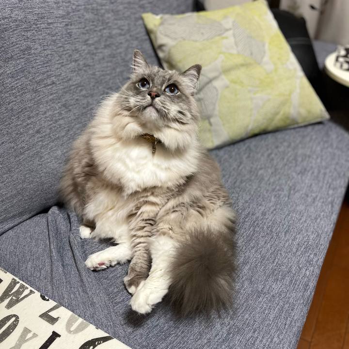 50d7c12f 788e 474b a1ca 7b755c0d0412 1643022082903