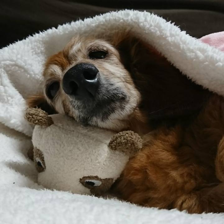 50d80fd9 5b86 4089 9ada d180cdab2192 1508306541718