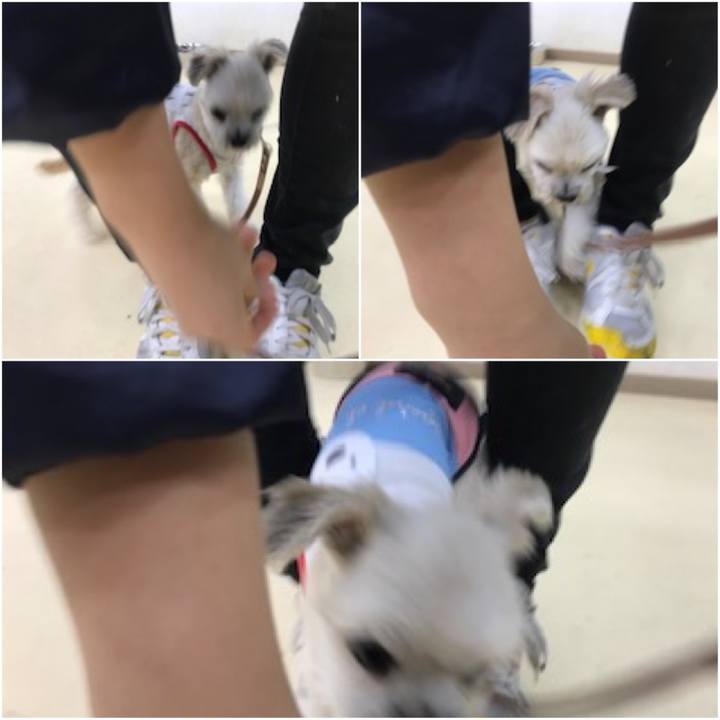 50d81e24 5632 4cfb 8ea6 a240db4fd841 1571398698438