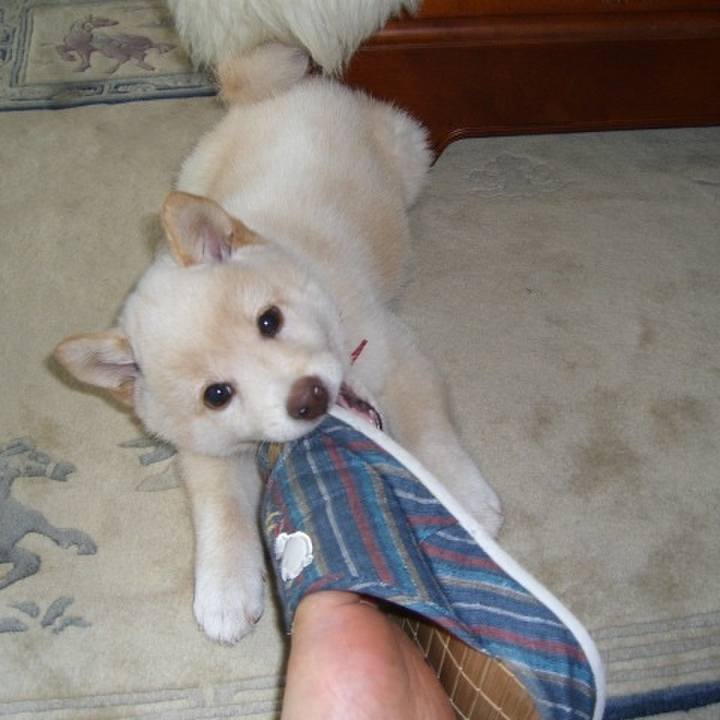 50d825b6 2cd1 4531 8471 96b385550da9 1663253877399