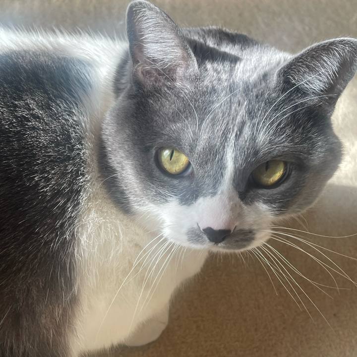 50d842aa 2024 41ff 8c6f 29352a6a863a 1706149480137