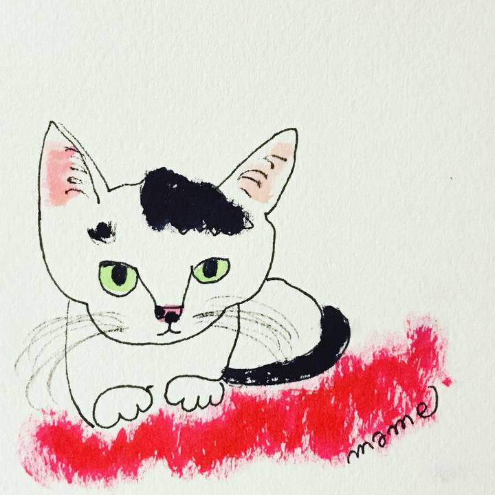 50d8802f c5f9 4838 b880 2d4d7b2ae0a9 1614521494933