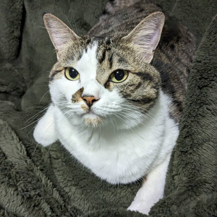 50d88ea3 55e6 4255 b8c8 53d646348992 1696769247407