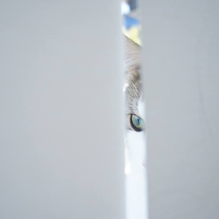 50d8979c 181d 497a b264 c15caf6e55cd 1534557509586