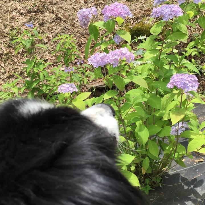 50d8c922 33ed 4202 be1c a846269adde5 1749023945666