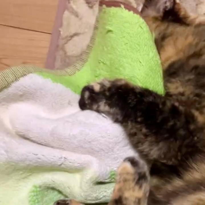 50d8d687 b2e0 46dc a9bc 9432a7535c13 1740216376779