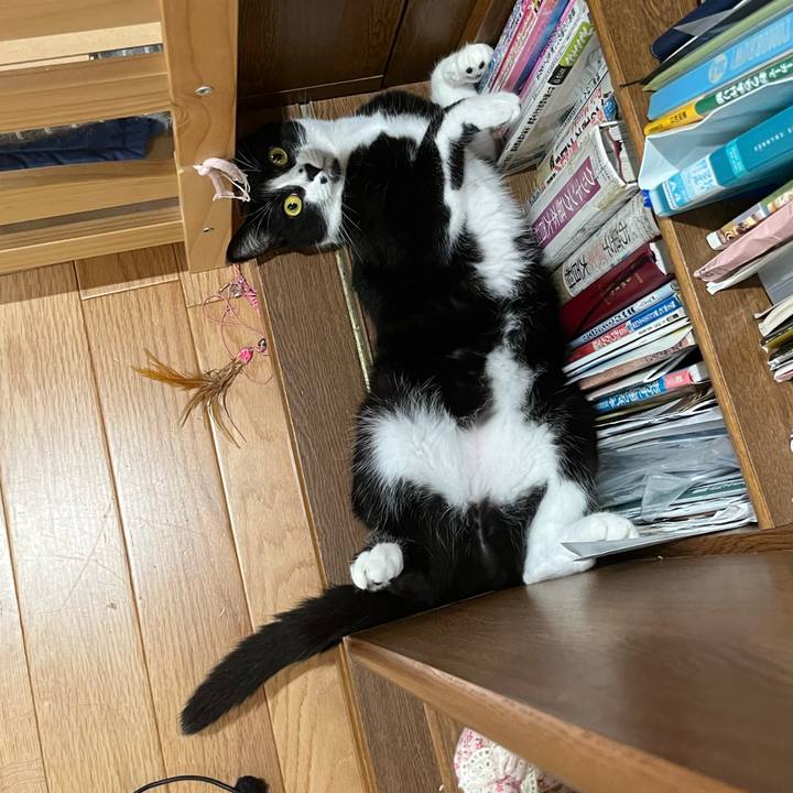 50d8e405 03fb 4396 82ee 8f0e31a46332 1661006359835