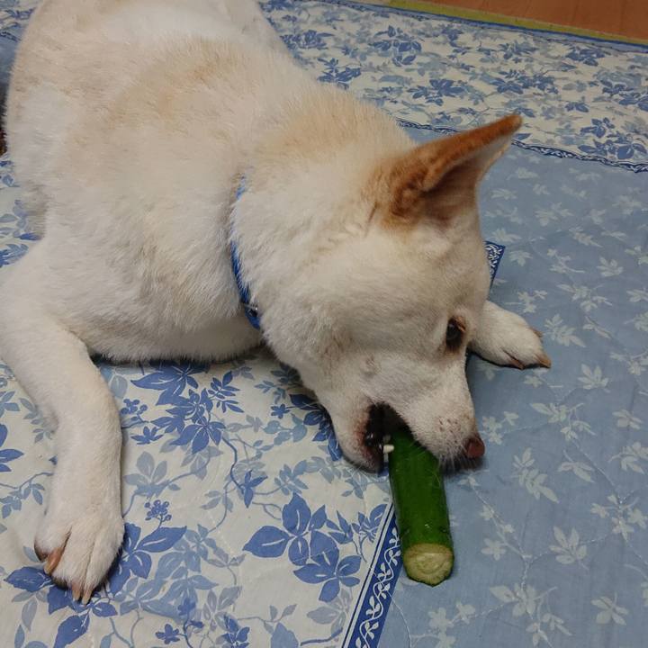 50d93ef0 8cb5 4951 b4f1 1a24f25f4536 1568458408545