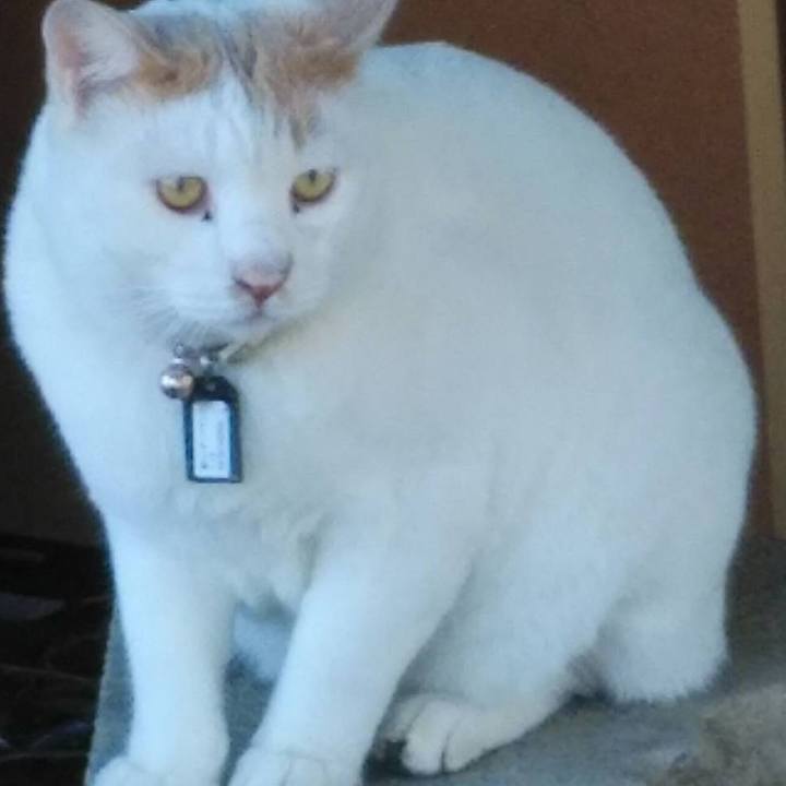 50d9570b cfd0 4e78 914c 97f9dc6a99e6 1573516235781