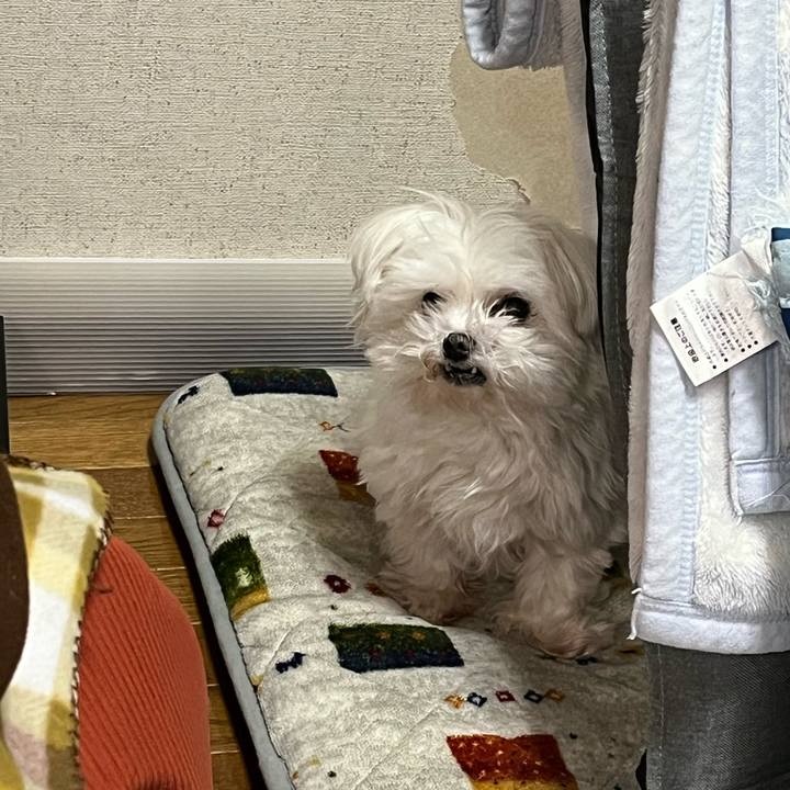 50d98998 5541 4a1e b759 6cfc2e9ca394 1710071776013