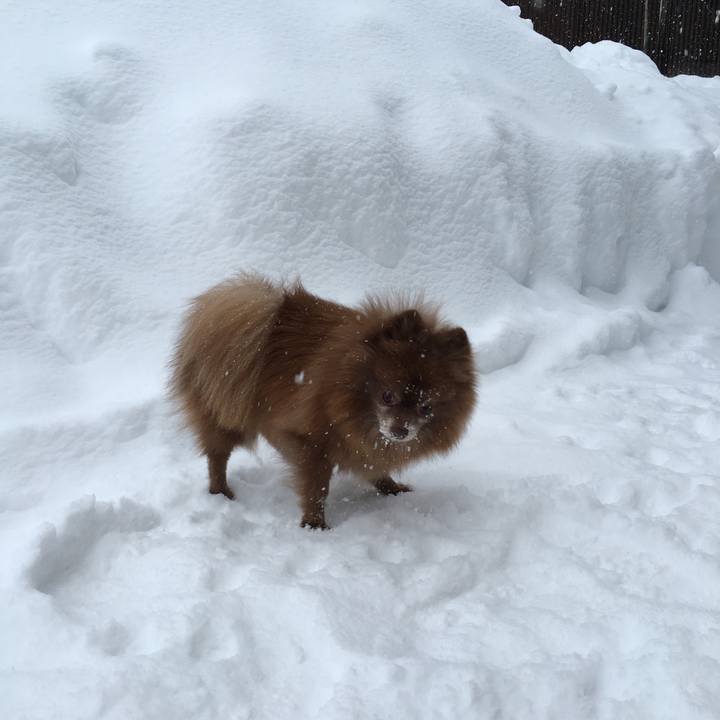 50d9b137 fe07 46d4 b9a9 05b1388c8363 1515715221754