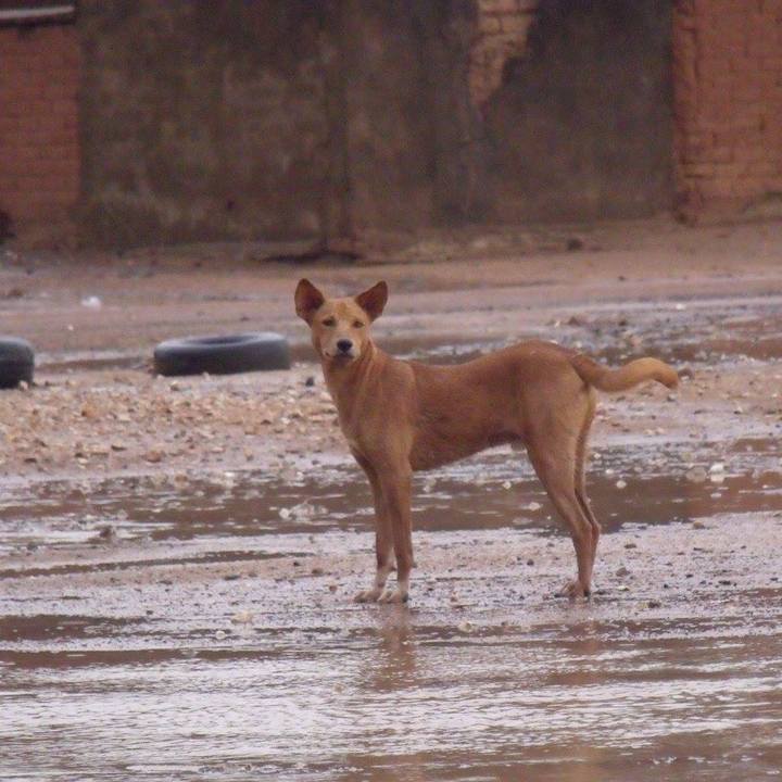 50da2402 bf56 40b8 ad4b 6091b75de7e5 1559129685447